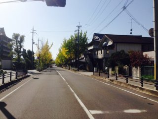 DW20161130_1154