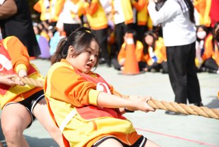 DW20191226_1191